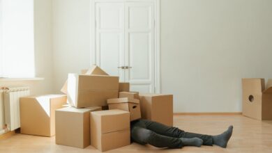 Versatile Packaging Solutions: Boxes, Bags & Envelopes
