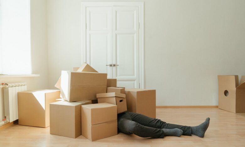 Versatile Packaging Solutions: Boxes, Bags & Envelopes