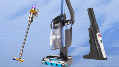 Best Home Carpet Cleaner